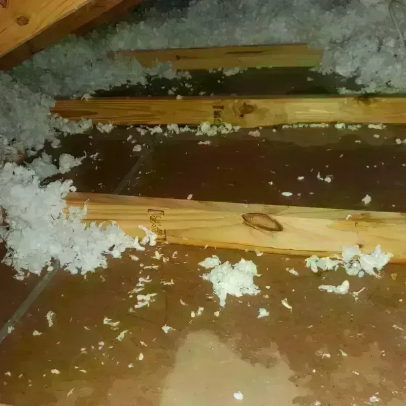 Attic Water Damage in Rochester, WI