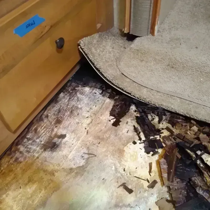 Wood Floor Water Damage in Rochester, WI